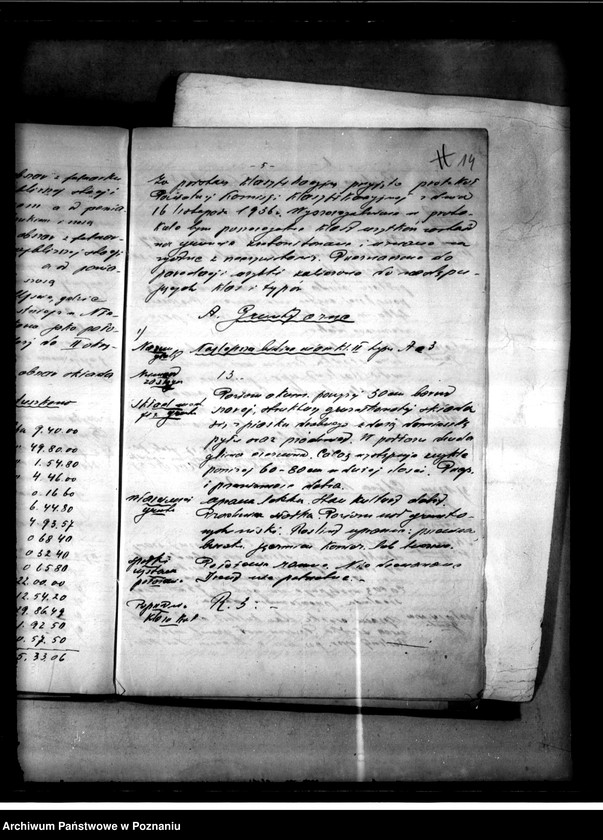 Obraz 17 z jednostki "Oszacowanie majętności Nietuszkowo powiat chodzieski"