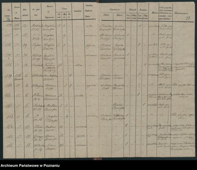 Obraz 16 z jednostki "Księga zgonów"