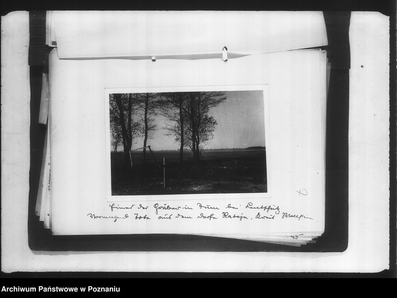 Obraz 11 z jednostki "Zweigstelle Litzmannstadt (Łódź) Aufnahmen"