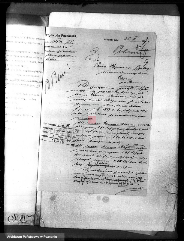 Obraz 13 z jednostki "Nadzór nad gospodarką w lasach majętności Gorzno-Biniew powiat ostrowski"