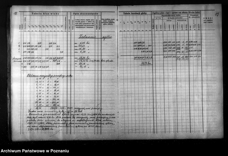 Obraz 14 z jednostki "Plan gospodarstwa leśnego dla lasu Jaegera Waltera gmina Zatom Nowy powiat międzychodzki 1933-1944"