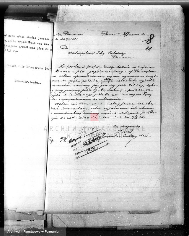 Obraz 17 z jednostki "Nadzór nad gospodarką w lasach majętności Pamiątkowo powiat obornicki"