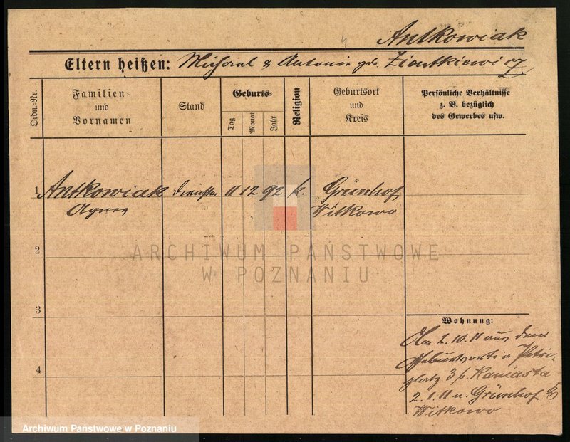 Obraz 7 z jednostki "Antkowiak (samotne kobiety) - Anzuhn"