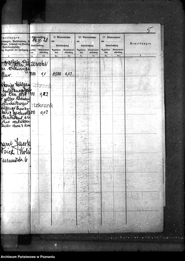 Obraz 10 z jednostki "Nosacizna - Chodzież"