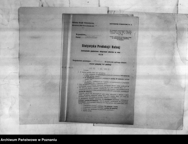 Obraz 8 z jednostki "/Statystyka produkcji rolnej - zestawienie powiatowe - Inowrocław/"