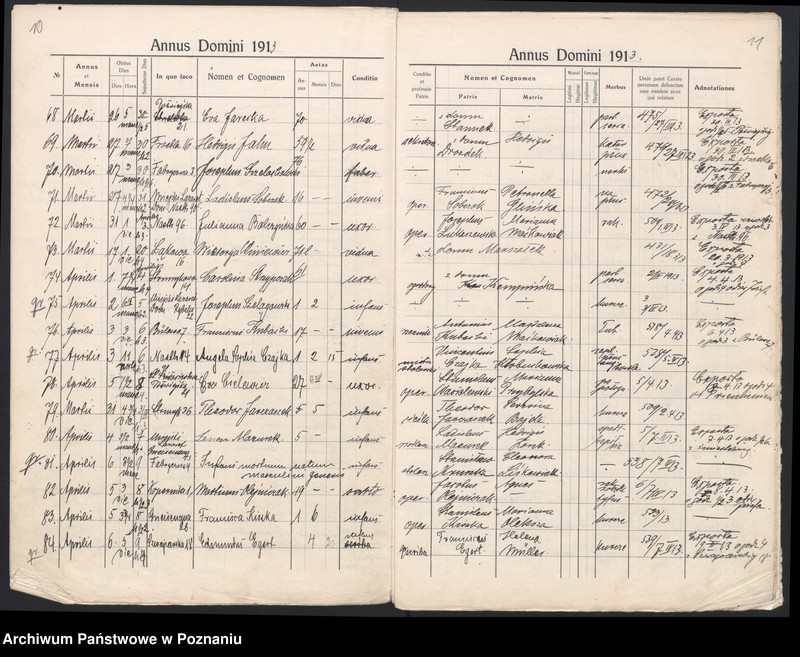 Obraz 8 z jednostki "Indeks zgonów"