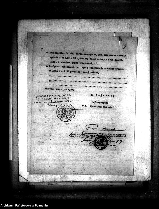 Obraz 14 z jednostki "/Majątek Prusim-Rozbitek powiatu międzychodzkiego sprawy parcelacyjne"