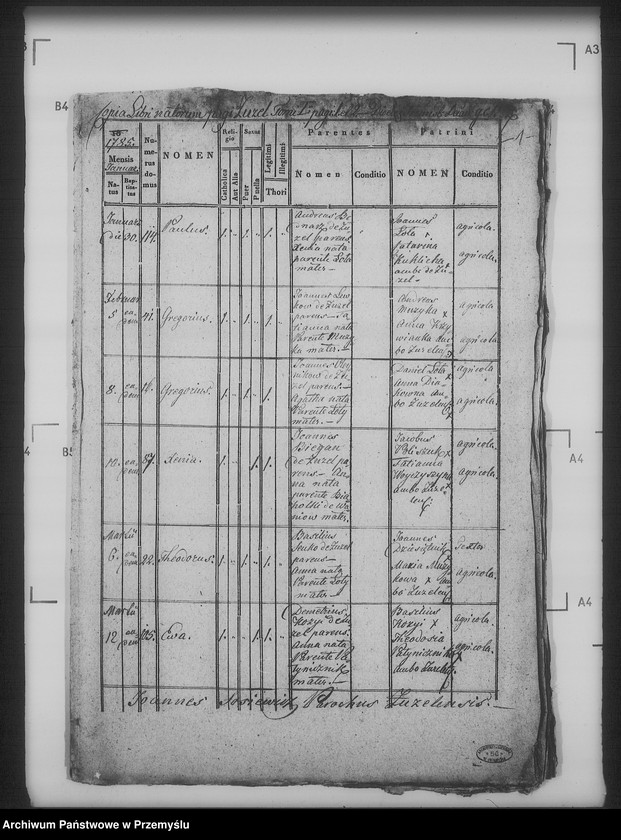 Obraz 5 z jednostki "[Kopie ksiąg metrykalnych parafii Żużel (dekanat Bełz)]"
