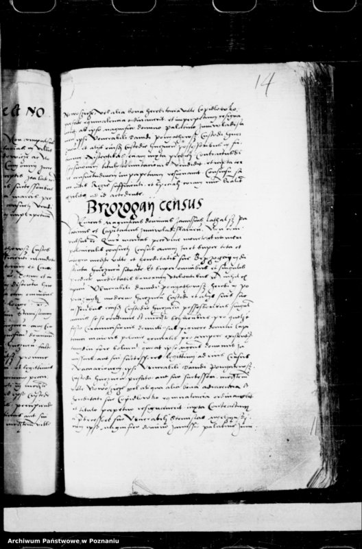 Obraz 19 z jednostki "Resignationes [inducta]"