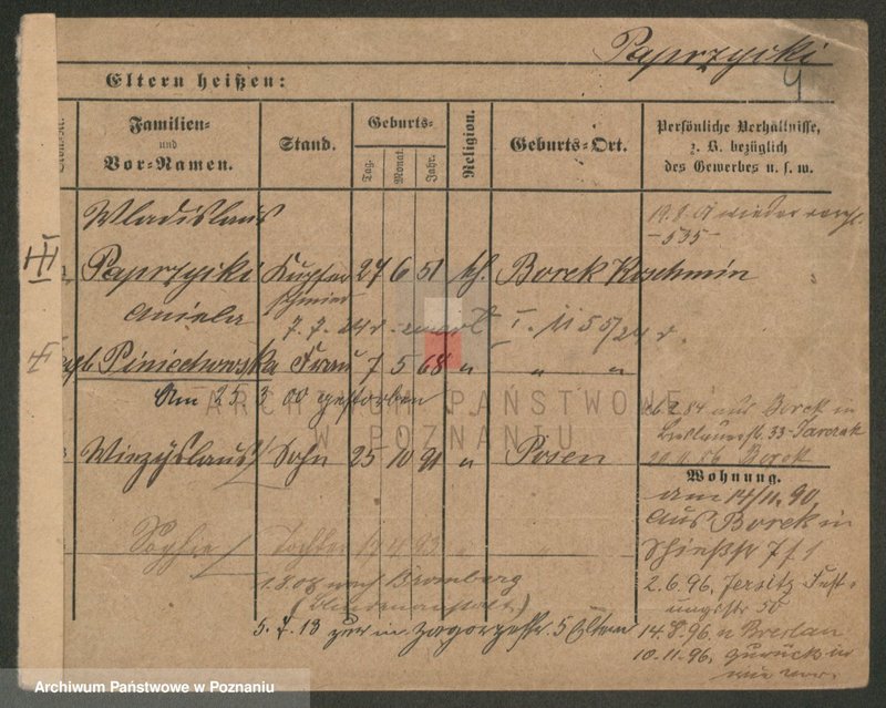 Obraz 4 z jednostki "Paprzycki - Pasiak"