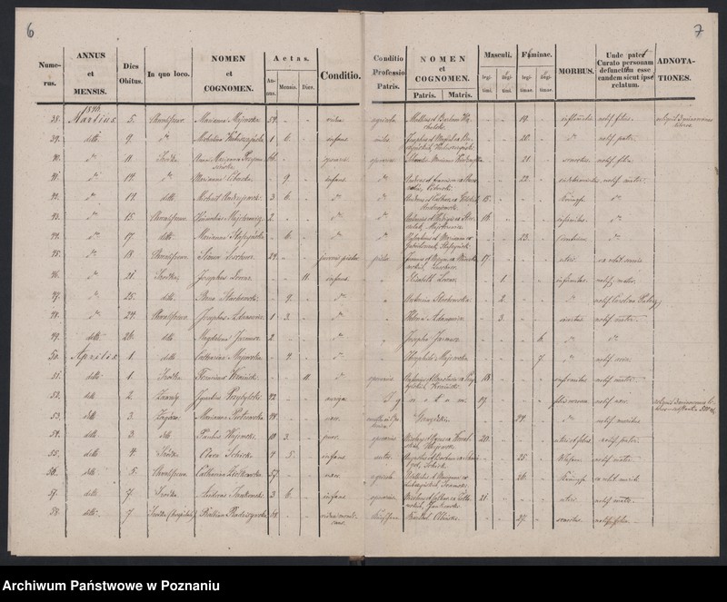 Obraz 6 z jednostki "Księga zgonów"