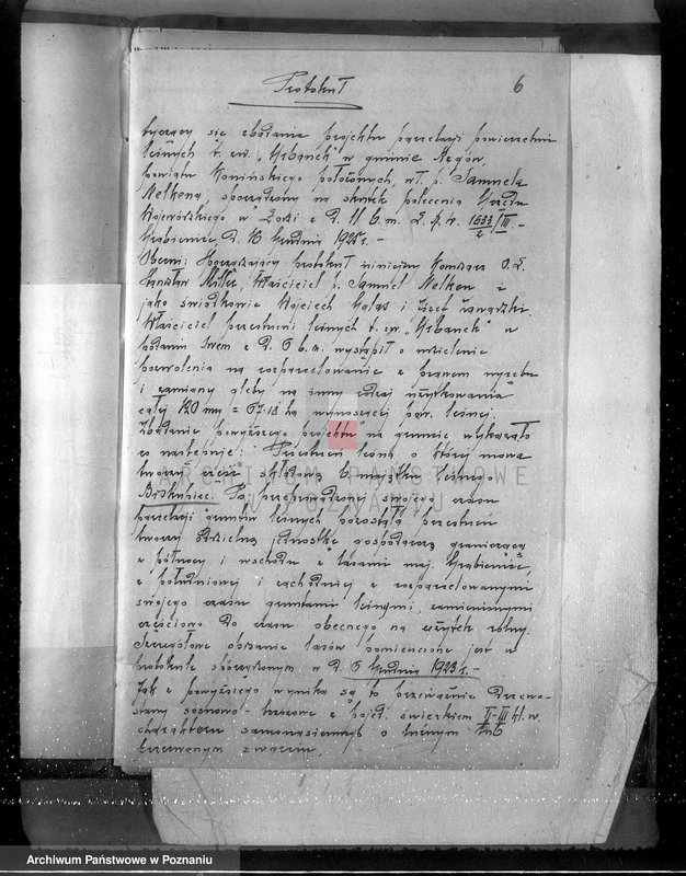 Obraz 10 z jednostki "Gmina Rzgów powiat koniński /nadzór nad gospodarką leśną/"