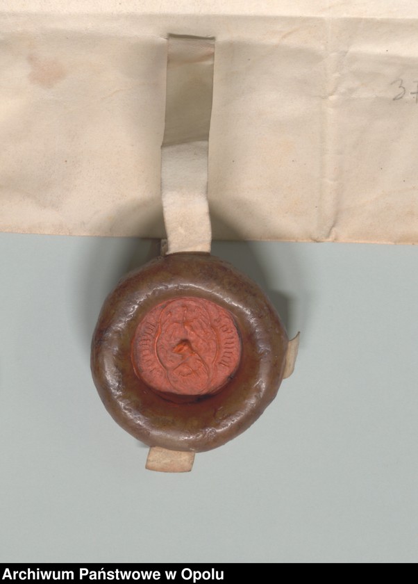 Obraz 6 z jednostki "Jan i Mikołaj, książęta śląscy, na Opolu, Głogówku etc. poświadczają, że stawiła się przed nimi Dorota Pillchwiczynn. Potwierdzają oni jej"