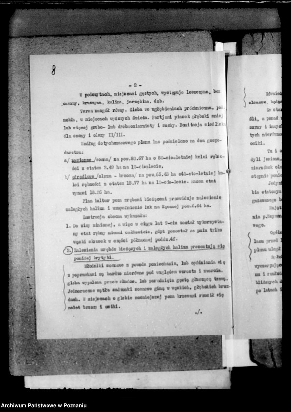 Obraz 12 z jednostki "Majętność leśna Zakrzewo powiat wągrowiecki"