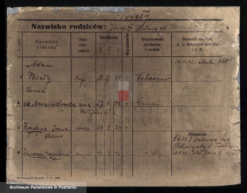 Obraz 5 z jednostki "Biały - Biedowicz"