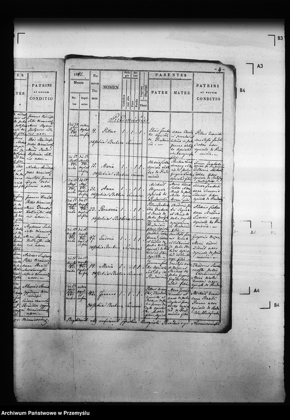 Obraz 8 z jednostki "[Kopie ksiąg metrykalnych parafii Niemirów z filiami Wólka Niemirowska i Przedmieście (dekanat Niemirów)]"