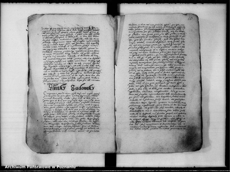 Obraz 11 z jednostki "Inscriptiones, relationes [inducta]"