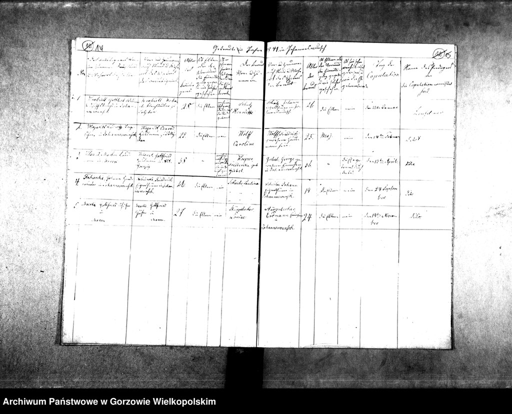 image.from.unit.number "Duplikate der Kirchenbücher von der Parochie Morrn: Morrn (Murzynowo), Alexandersdorf (Gościnowo), Johanneswunsch (Dobrojewo)"