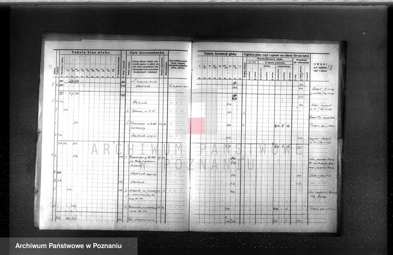 Obraz 20 z jednostki "Plan urządzenia gospodarstwa leśnego dla lasu majętności Piotrowo powiat szamotulski 1934-1944"
