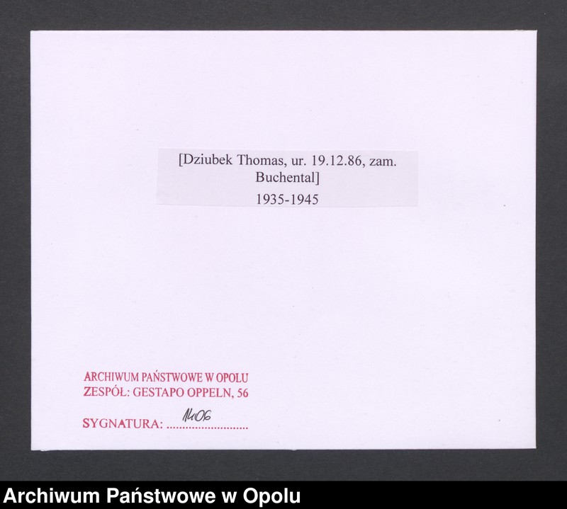 Obraz 2 z jednostki "[Dziubek Thomas, ur. 19.12.1886, zam. Buchental]"