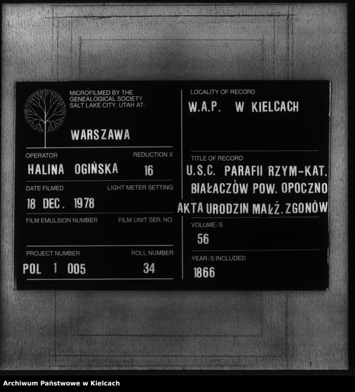 Obraz z zespołu "Akta stanu cywilnego Parafii Rzymskokatolickiej w Białaczowie"
