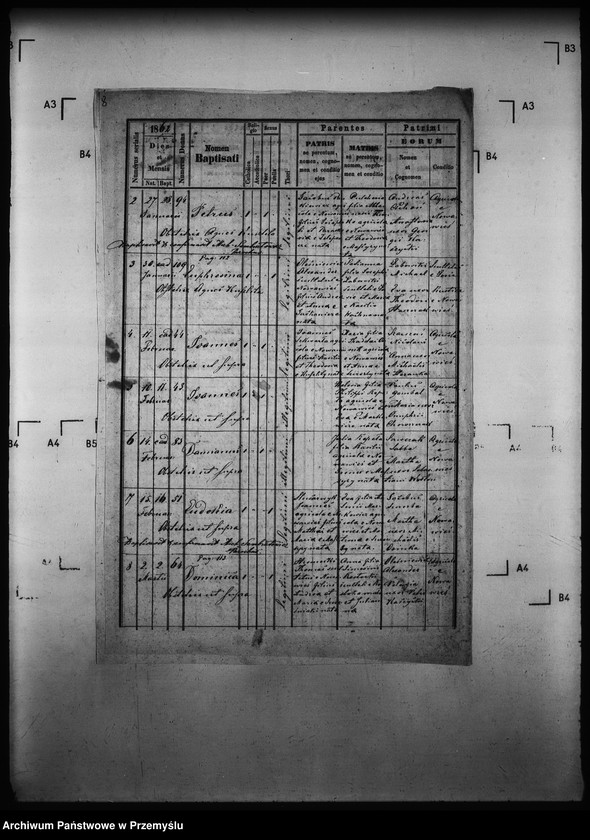 Obraz 13 z jednostki "[Kopie ksiąg metrykalnych parafii Nowa Wieś z filią Łosie (dekanat Muszyna)]"