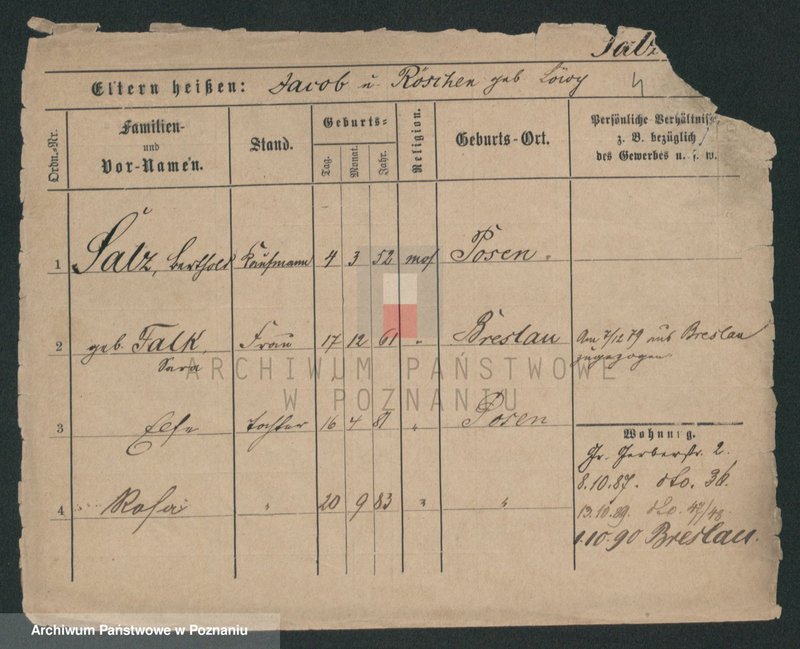 Obraz 11 z jednostki "Salc - Samolek"