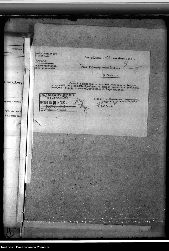 Obraz 13 z jednostki "Majętność leśna Łąka Wielka"