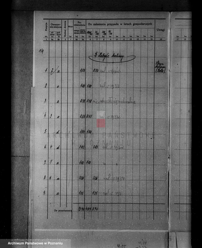 Obraz 18 z jednostki "/Nadzór nad lasami/ majątku Gębice powiatu czarnkowskiego"
