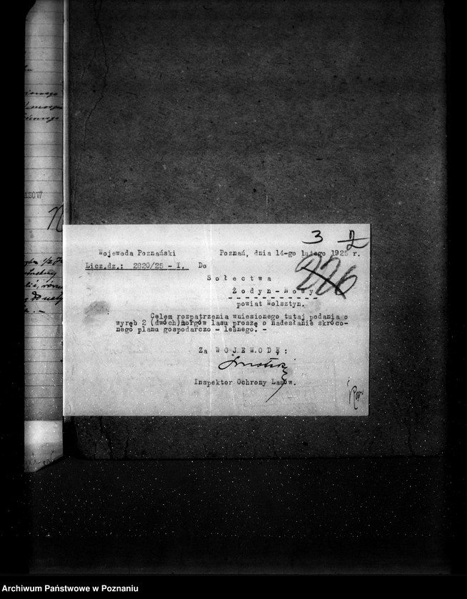 Obraz 7 z jednostki "Las gromady Żodyń Nowy powiat wolsztyński"