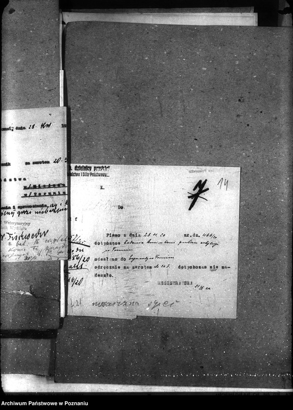 Obraz 17 z jednostki "Sprawy szczegółowo-Nosacizna"