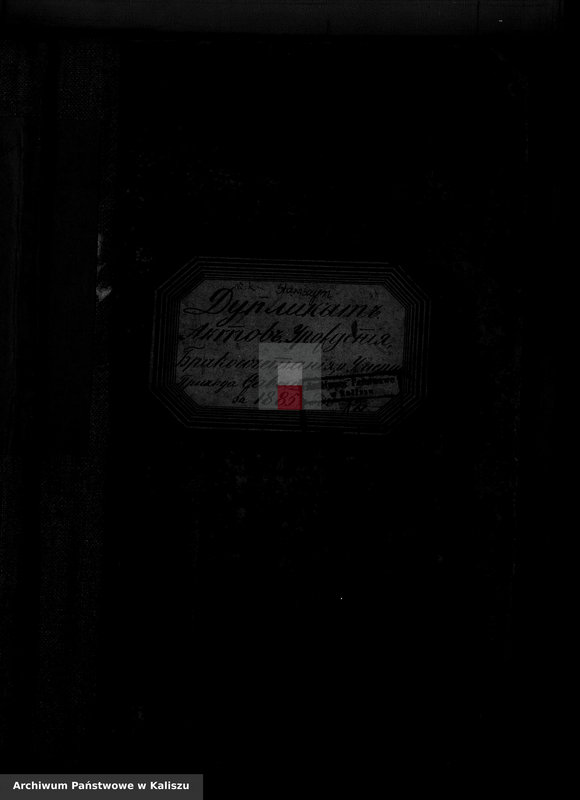 image.from.unit.number "Дубликатъ актовъ урожденiя, бракосочетанiя и умершихъ"