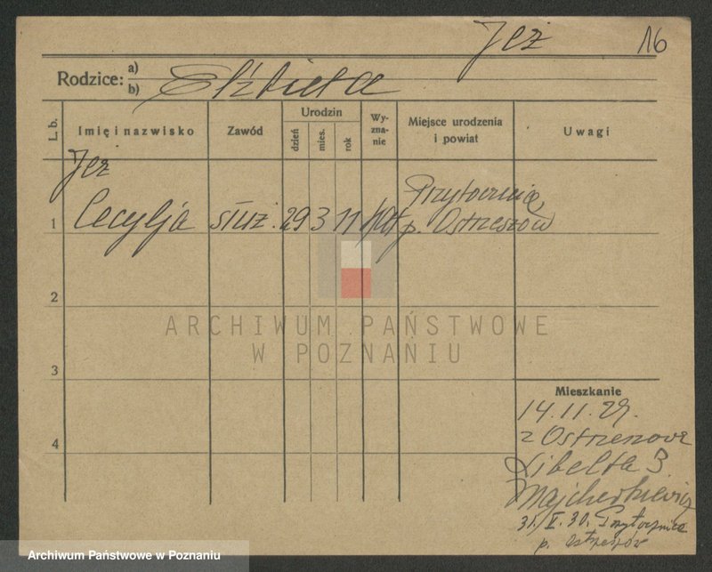 Obraz 16 z jednostki "Jernas - Jesionek"