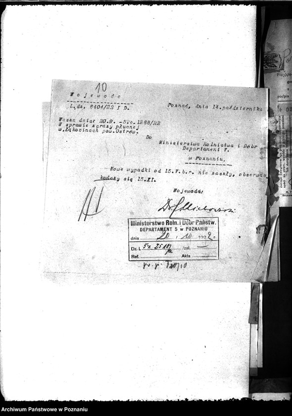 Obraz 14 z jednostki "Zaraza płucna - Odolanów"