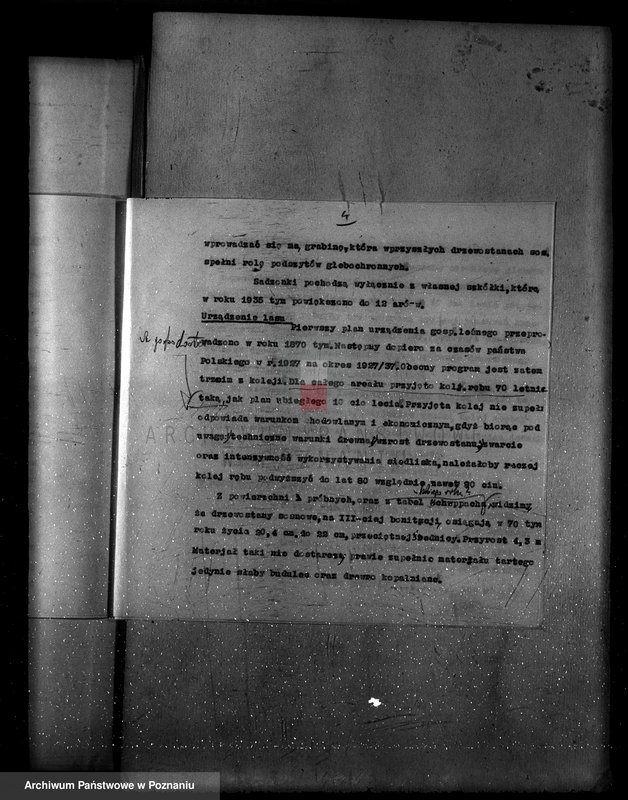 Obraz 8 z jednostki "Program urządzenia gospodarstwa leśnego lasu probostwa Modrzu powiat poznański"