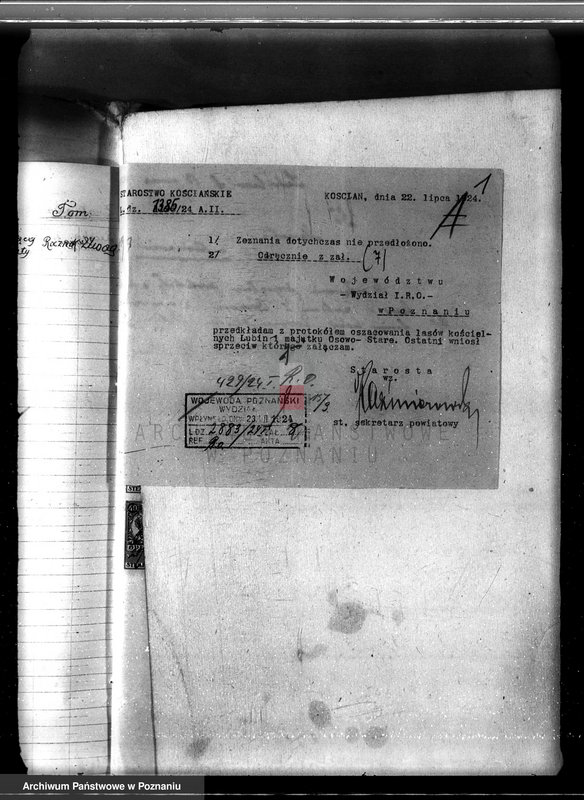 Obraz 5 z jednostki "Nadzór nad gospodarką w lasach majętności Czerwona-Wieś powiat kościański"