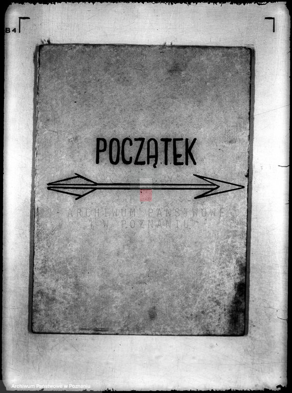 Obraz 3 z jednostki "Towarzystwo Miłośników Sportu Pływackiego w Rawiczu"