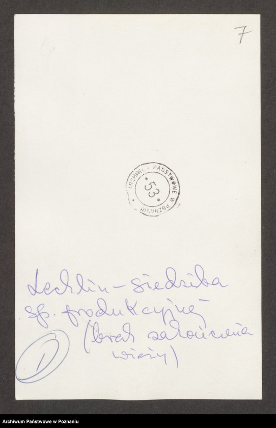 Obraz 10 z jednostki "Szkic i fotografie pałacu w Lechlinie"