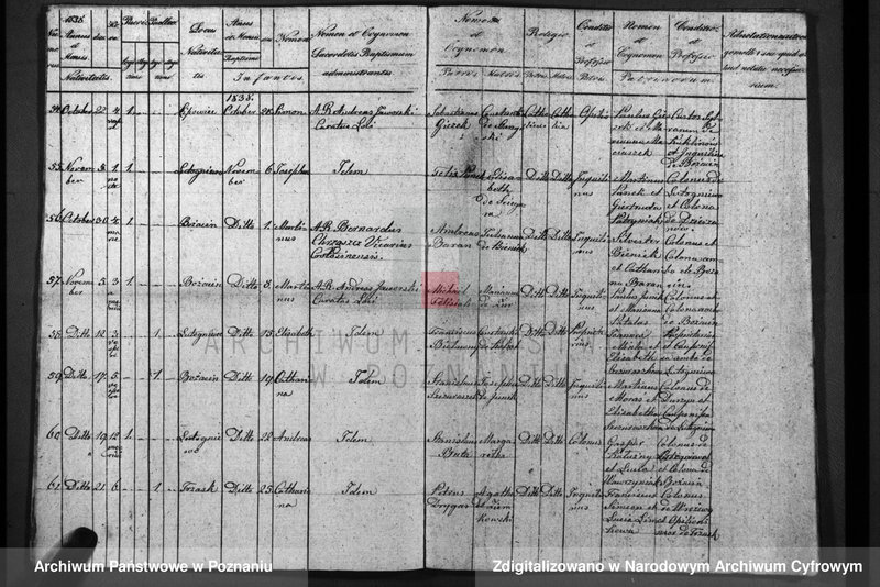 image.from.unit.number "Duplicatum baptisatorum, copulatorum, mortuorum"