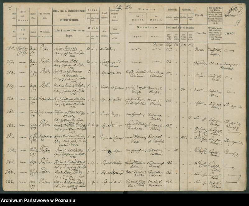 Obraz 8 z jednostki "Sterbenbuch"