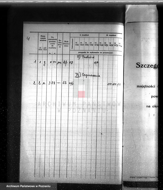 Obraz 8 z jednostki "Plan urządzenia gospodarstwa leśnego dla lasu Berty Stelter w Piotrowie powiat szamotulski 1930-1940"