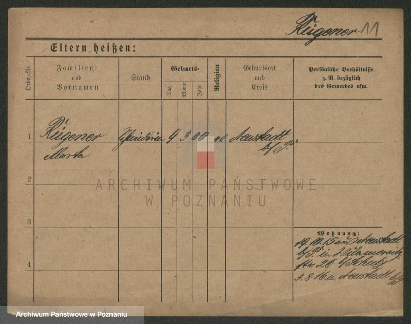 Obraz 13 z jednostki "Rigelhaupt - Rinke"