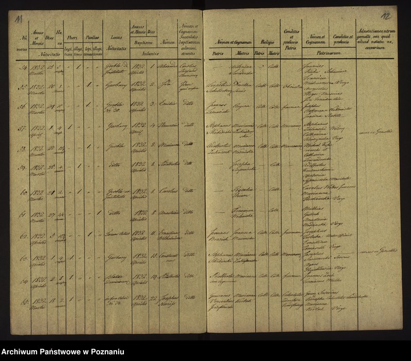 Obraz 9 z jednostki "Księga urodzin"