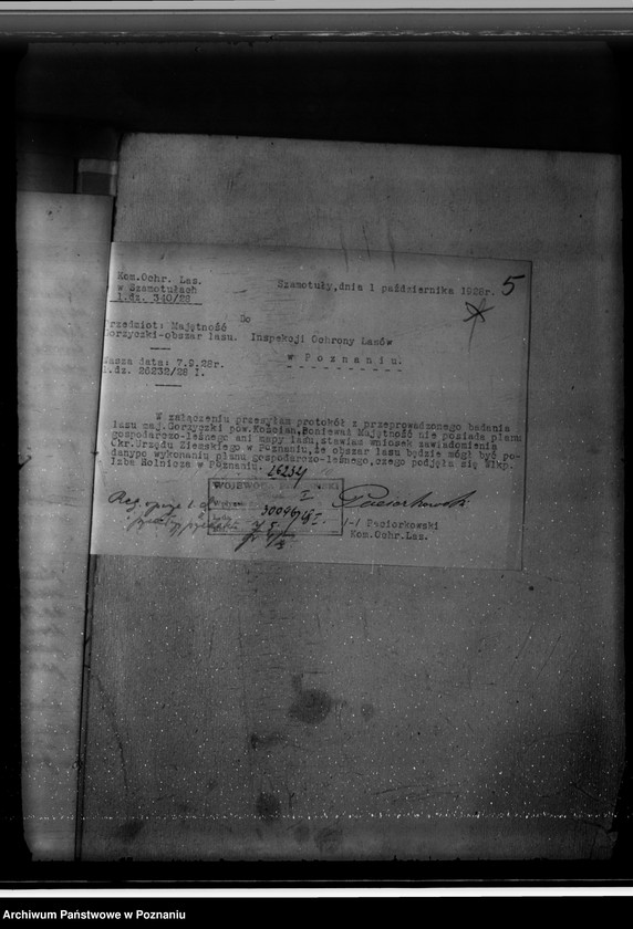 Obraz 9 z jednostki "Majętność /leśna/ Gorzycziki powiat kościański"