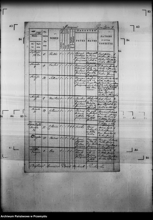 Obraz 14 z jednostki "[Kopie ksiąg metrykalnych parafii Maciejowa z filiami Barnowiec, Czaczów, Margoń, Składziste, Roztoka Mała, Rybień, Złotne (dekanat Muszyna)]"