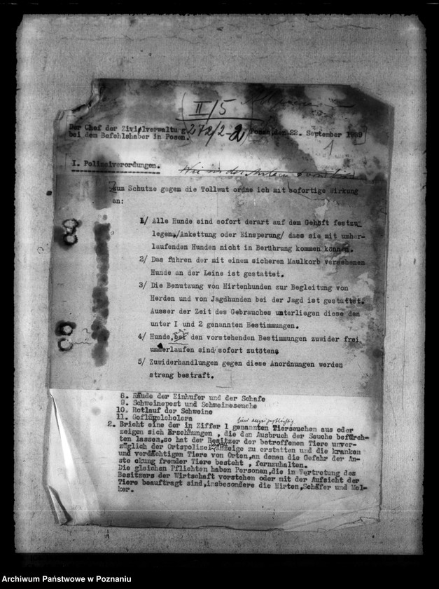 Obraz 5 z jednostki "Tollwut"