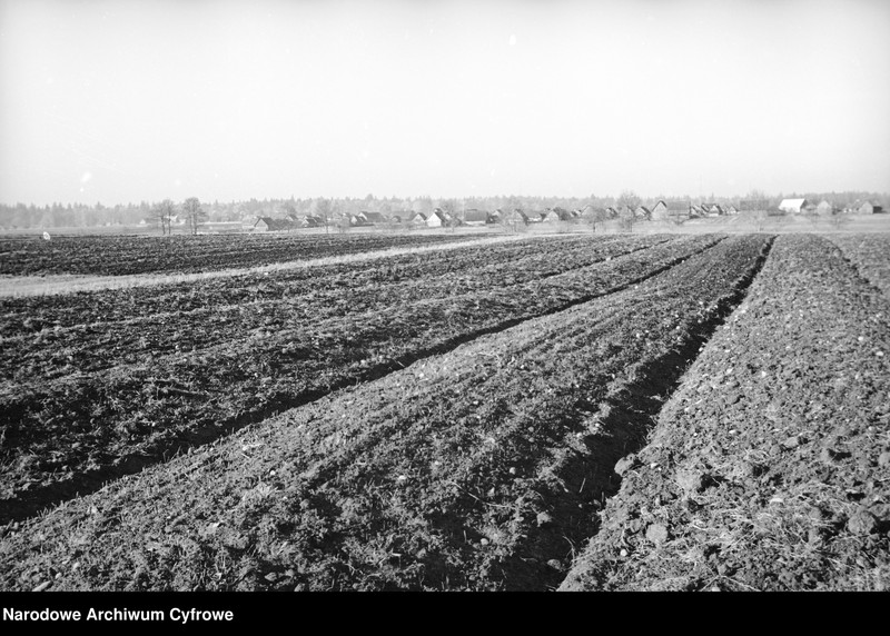 image.from.unit.number "Białowieża"