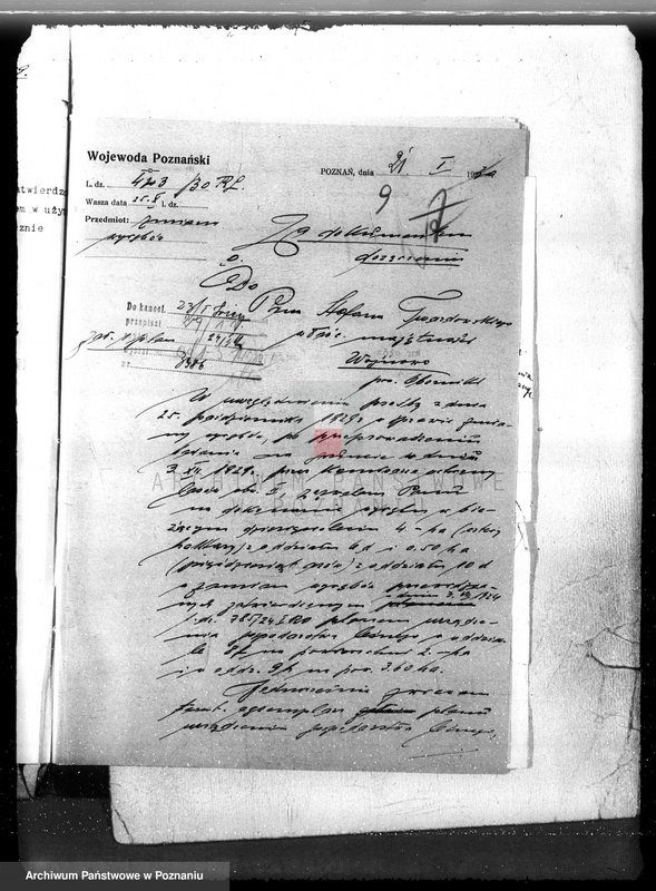 Obraz 13 z jednostki "Nadzór nad gospodarką w lasach majętności Wojnowo powiat obornicki"