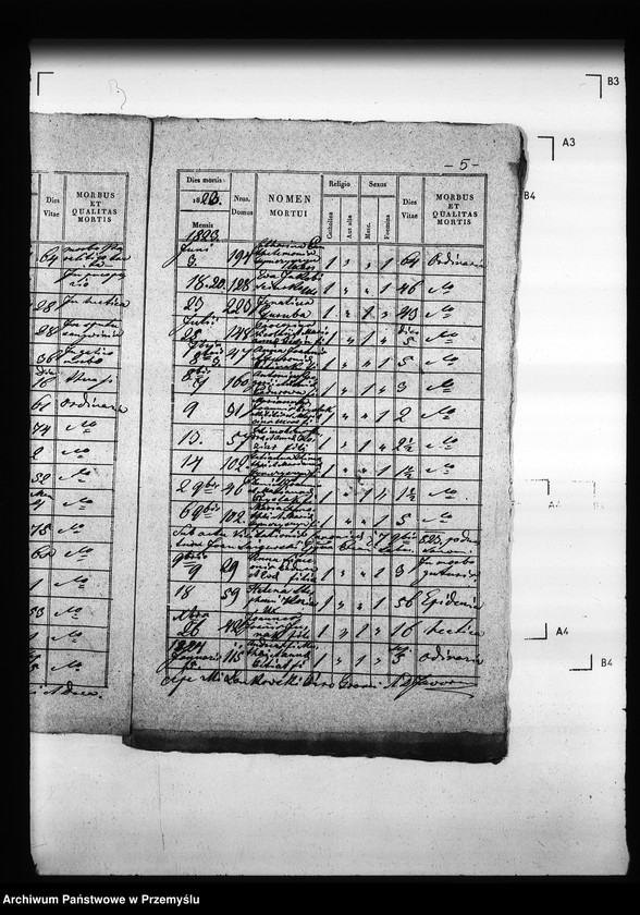 Obraz 9 z jednostki "[Kopie ksiąg metrykalnych parafii Trościaniec (dekanat Niemirów)]"