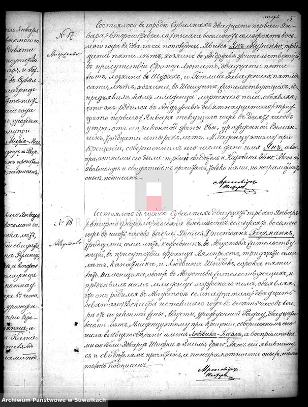 Obraz 10 z jednostki "Duplikat aktov uroždennych, brakosočetavšichsja i umeršich Evangeličesko-Augsburgskago prichoda v Suvalkach na 1878 g."